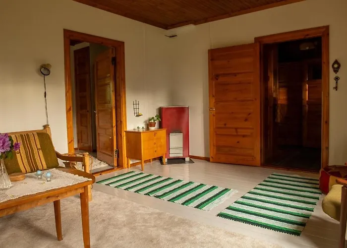 Scandinavian Summer In Asikkala (Southern Finland)